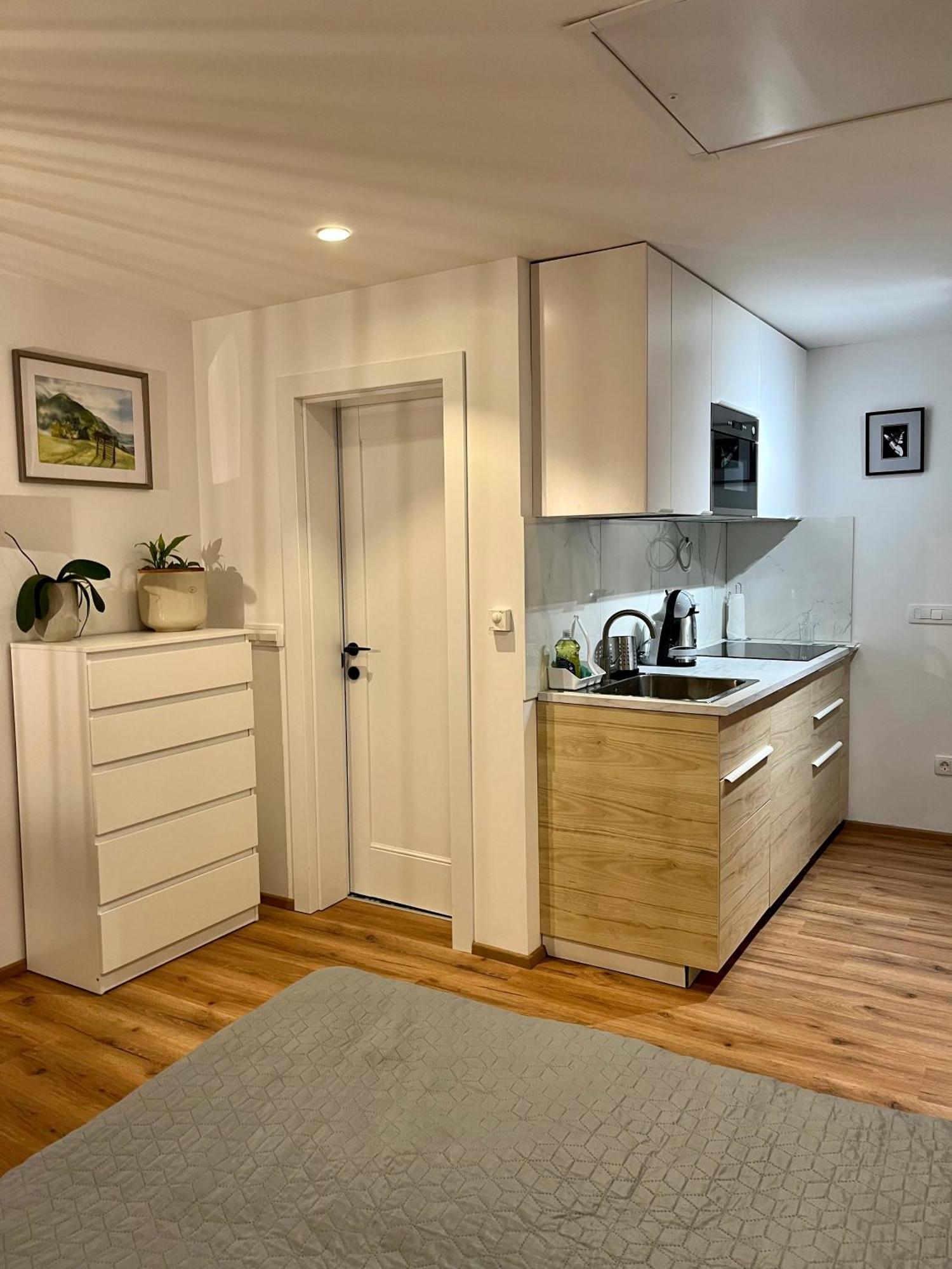 Apartments Pri Fencu ゴレンスカ地方 エクステリア 写真